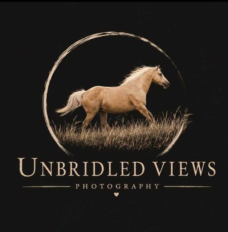 Unbridled Views Photography logo featuring a palomino horse