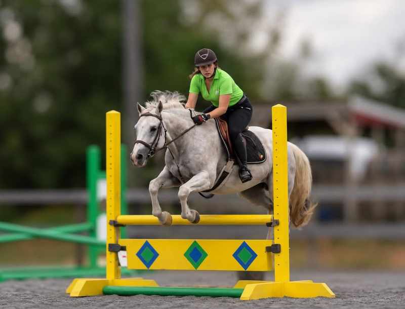 Gray horse and rider clearing a yellow jump