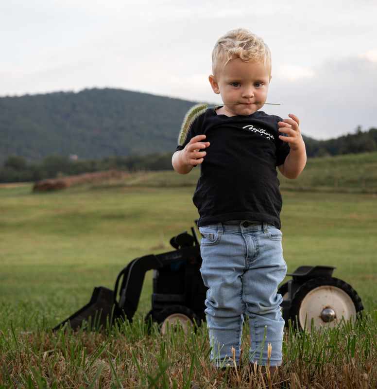 Young boy standing in a field with a foxtail stem and a small tractor behind him