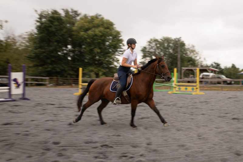 Bay horse and rider cantering across the arena