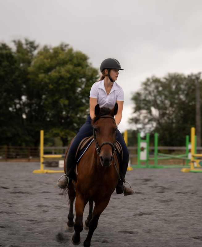 Bay horse and rider cantering toward the camera